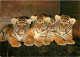 Animaux - Fauves - Tigre - Tiger - Zoo De Bale - Zoologischer Garten Basel - Jeunes Tigres - CPM - Carte Neuve - Voir Sc - Tigres