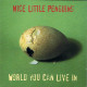 Nice Little Penguins - World You Can Live In. CD - Disco, Pop