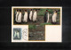 Australian Antarctic Territory 1995 Antarctica - Base Davis - Penguins - Bases Antarctiques