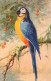 Catharina KLEIN - Cpa Illustrateur - Perroquet - Oiseau - Parrot Bird - Klein, Catharina