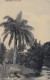 Bermuda: 1910: Post Card To New Jersey - Bermuda
