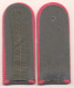 Shoulder Straps. Epaulettes. Schulterklappen Schultergurte. Germany. Panzertruppen. Soldat. - Patches