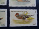 Delcampe - Guinée Equatoriale Canard Duck Ente Pato Anatra Eend Giappone And Guinea Ecuatorial - Patos