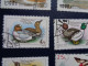 Delcampe - Roumanie  Cambodge Canard Duck Ente Pato Anatra Eend Giappone And Hongrie Corée Romana Magyar Posta Korea - Canards