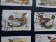 Delcampe - Roumanie  Cambodge Canard Duck Ente Pato Anatra Eend Giappone And Hongrie Corée Romana Magyar Posta Korea - Entenvögel