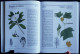 Delcampe - ARBRES ET ARBUSTES - " La Nature à Livre Ouvert " - GRÜND - ( 1993 ) - 256 Illustrations En Couleurs . - Nature
