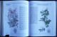 Delcampe - ARBRES ET ARBUSTES - " La Nature à Livre Ouvert " - GRÜND - ( 1993 ) - 256 Illustrations En Couleurs . - Natur