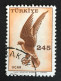 1959 Turkey - Birds 1959 Hawk - Used - Gebraucht