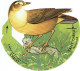 2x Fromage Chalet. Oiseaux N°1 Et N° 3. Lot De 2 Articles. Chromo/Découpi. - Animales