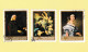 Delcampe - Hongrie - Magyar Posta - L'art - La Peinture Lot De 24 Timbres Tableaux - Collections