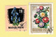 Delcampe - Hongrie  - Magyar Posta - Lot De 41 Timbres -  20 Timbres Les Oiseaux 21 Timbres Les Fleurs - Verzamelingen