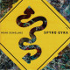 Spyro Gyra - Road Scholars. CD - Jazz