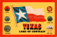 73860827 Texas_US-State Capitol Mockingbird Bluebonnet State Map Pecan Tree Pump - Autres & Non Classés