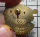 1616B Pin's Pins / Rare Et De Belle Qualité / ADMINISTRATIONS / CPAM 93 Par DECAT - Administraties