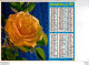 Almanach Des P.T.T.  PAS DE CALAIS 1979 .  ROSE + FLEURS - Tamaño Grande : 1971-80