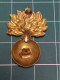 INSIGNE ATTRIBUT GRENADE, SHAKO, GIBERNE, CASQUES (2) - Copricapi