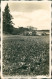 Hohnstein MÄRZENBECHERBLÜTE BOCKMÜHLE IM POLENZTAL Foto Hering 1929 - Hohnstein (Saechs. Schweiz)