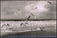 Ansichtskarte Borkum Möwen Am Strand 1960 - Borkum