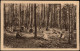 Liegau-Augustusbad-Radeberg Herzheilstätte Bethlehemstift Kinder Im Wald 1922 - Radeberg