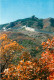 Chine - Grande Muraille De Chine - Red Leaves At The Great Wall - Carte Neuve - China - CPM - Voir Scans Recto-Verso - China