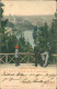 Rochlitz Blick Von Der Bastei Auf Dem Promenadenwege - Handcoloriert 1904 - Rochlitz