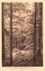 FRANCE - Remiremont - Vue Sur Le Sentier De La Roche Tocquaine - Carte Postale Ancienne - Remiremont