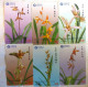 PHONECARD -  China Orchid Set Of 6 Phonecards L.E. - Chine