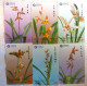 PHONECARD -  China Orchid Set Of 6 Phonecards L.E. - Cina