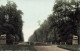 FRANCE - Chantilly - Vue Sur La Route Des Lions - Vue Générale - Carte Postale Ancienne - Chantilly