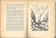 Collection Variétés - La Montagne Aux Ours Par Henri Audra 1928 - Editions Delphina (des Ecrivains Dauphinois) - Other & Unclassified