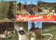 72321546 St Andreasberg Harz Sommerrodelbahn St. Andreasberg - St. Andreasberg