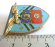 INSIGNE BA 116 LUXEUIL - BASE AERIENNE - DRAGO PARIS A 596 - Armée De L'air