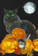 Belgique Belgien Belgie Belgium Duostamp 2015; Halloween: CAT, Owl, Pumpkins, Full Moon. Sheet Of 10 Stamps. - Chats Domestiques