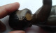 Delcampe - Rare ! Mini Poupon Noir Avec Boucles D'oreille, Marque DRP GERMANY, Taille 14 1/2. Voir Photos - Muñecas