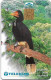 Malaysia - Telekom Malaysia (chip) - Birds - Southern Pied Hornbill, Chip Gem2 Black, 5RM, Used - Malaysia