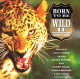 Born To Be Wild II - 18 Rock Classics - MCI 1993 - Sonstige & Ohne Zuordnung