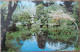 US USA UNITED STATES CALIFORNIA SAN FRANCISCO JAPANESE GARDENS PARK POSTCARD CARTOLINA CARTE POSTALE POSTKARTE CARD - San Francisco