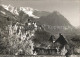 72295073 Vaduz Schloss Mit Rappenstein Und Falknis Raetikon Baumbluete Vaduz - Liechtenstein