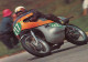 SPORT MOTO  VITESSE PURE - Motorcycle Sport