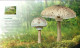 Delcampe - POLAND 2012 POLISH POST OFFICE LIMITED EDITION SPECTACULAR FOLDER: MUSHROOMS IN POLISH FORESTS FDC FUNGI - Paddestoelen