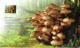 Delcampe - POLAND 2012 POLISH POST OFFICE LIMITED EDITION SPECTACULAR FOLDER: MUSHROOMS IN POLISH FORESTS FDC FUNGI - Paddestoelen