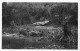 CONGO POINTE NOIRE AEF Caiman Sur La Riviere Loeme 20(scan Recto-verso) MA194 - Pointe-Noire