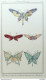 Gravure De Mode Costume Parisien 1913 Pl.088 ANONYME Papillons - Eaux-fortes