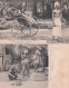 FRANCE - 4 CARTES - PARIS JARDIN ZOOLOGIQUE D'ACCLIMATATION. LES MALABARES 1902 --- Avec RARE - Parks, Gärten