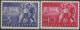 TZB31-32L - 1950 Trieste Zona B, Sass. Nr. 31/32,  Serie Cpl. Di 2 Francobolli Nuovi Con Traccia Di Linguella */ - Mint/hinged