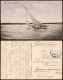 Ansichtskarte Tegel-Berlin Tegeler See Segelboot 1915 - Tegel