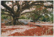 Australia QUEENSLAND QLD Homes & Beach MURRAY ISLAND TORRES STRAIT Ross Photo Postcard C1980s - Far North Queensland