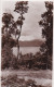4800142Sunny Sight, Lake Kaniere. (photo Card) - Nouvelle-Zélande