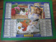 Almanach Du Facteur, Calendrier 2001, , Chats.chiens ( Nantes St Nazaire Etc) - Big : 2001-...