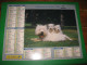 Almanach Du Facteur, Calendrier 1999, , Chatons.CHIENS ( Seine Maritime 76) - Big : 1991-00